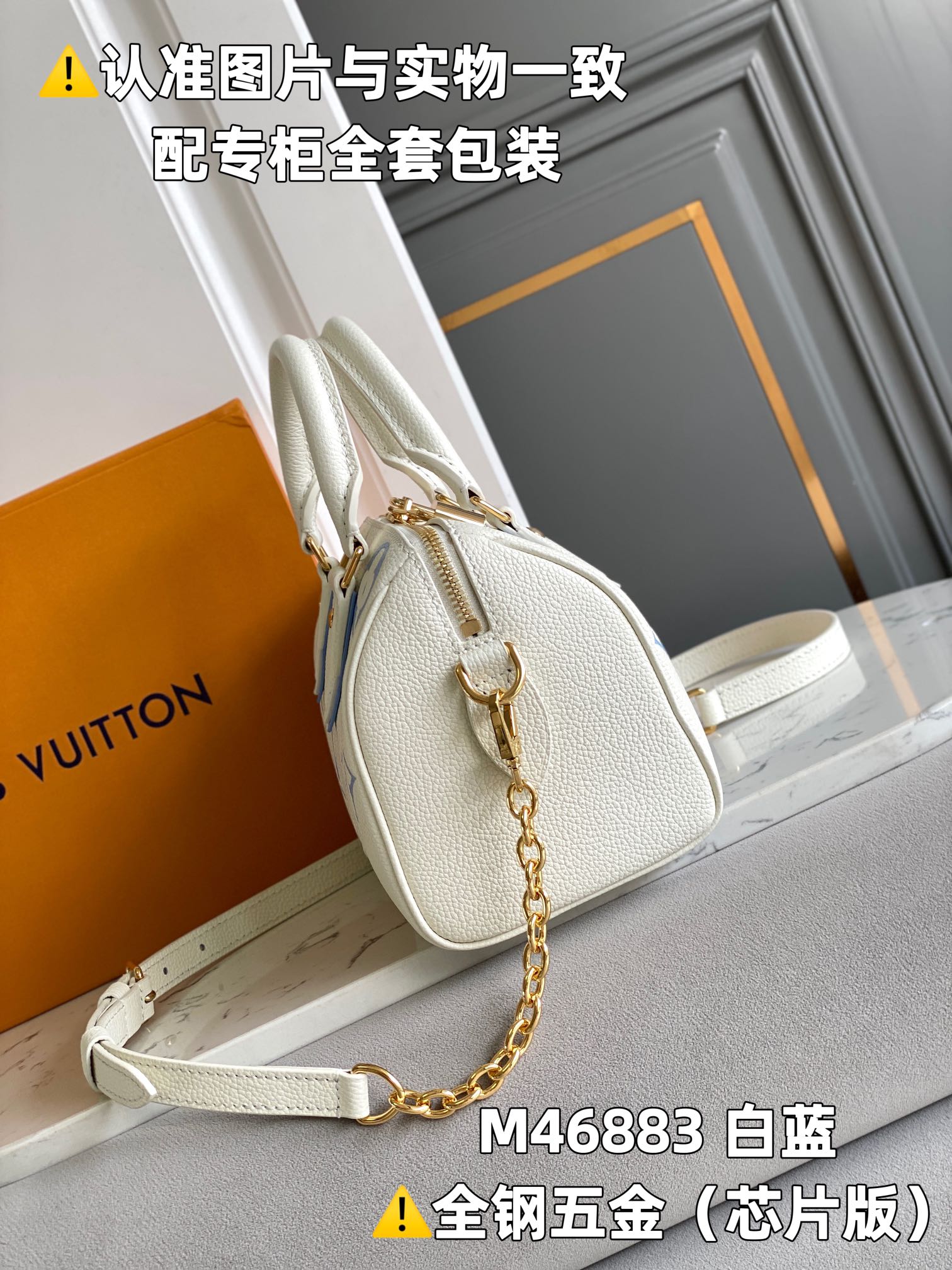 Louis Vuitton Speedy Bags